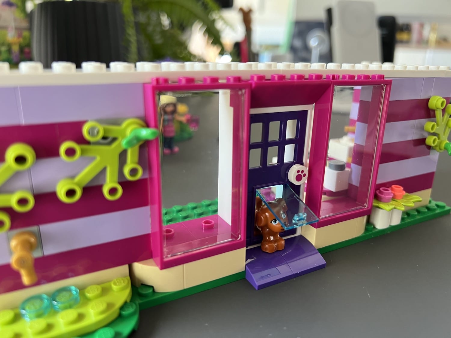 LEGO Friends 41699: Das Tieradoptionscafé ist besser als ich dachte